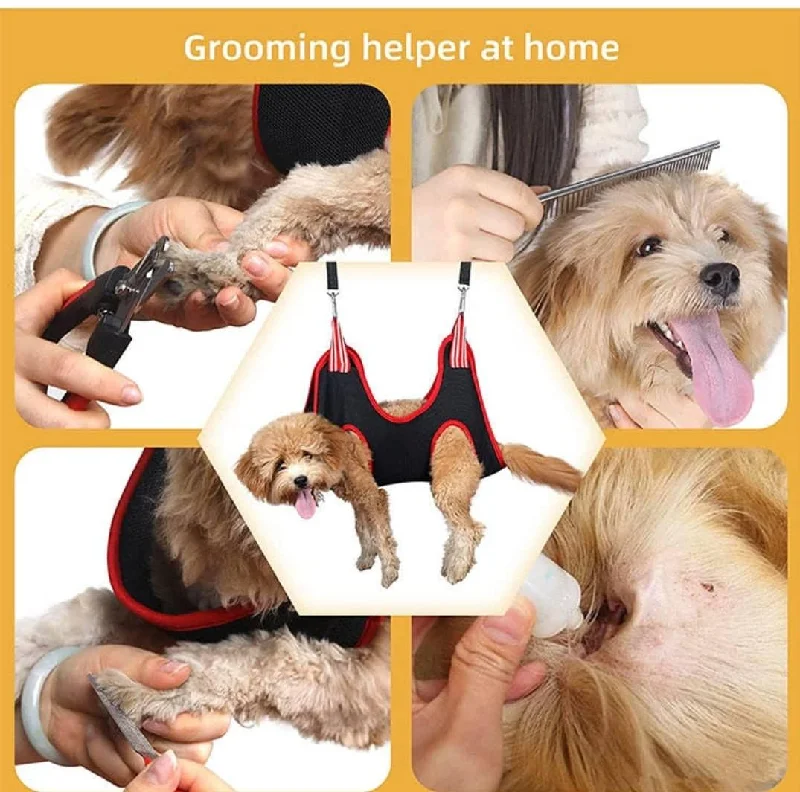 DOG/CAT HOME GROOMING ASSISTANT NAILS/TRIMMING/TAKING MEDICILNE/CLEANING TEETH EARS EYE