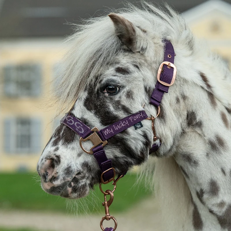 Hkm Alva Head Collar- Lilac