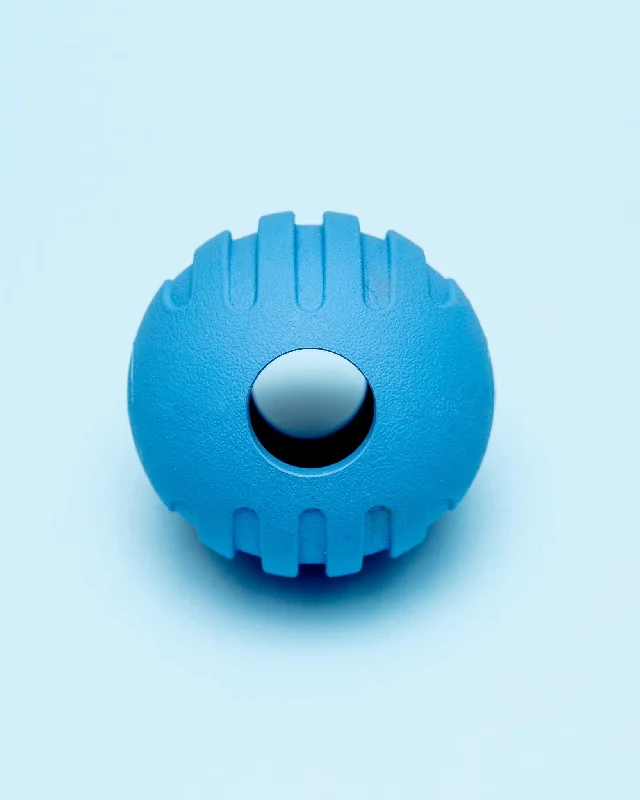 Signature Ball Interactive Dog Toy