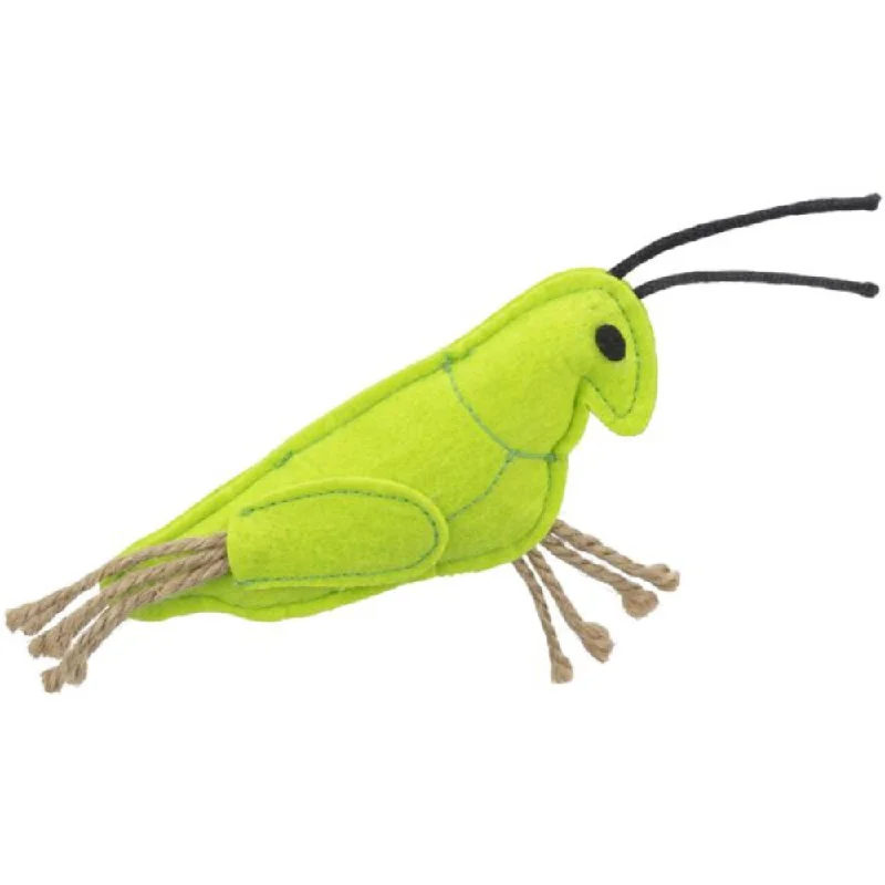 Grasshopper