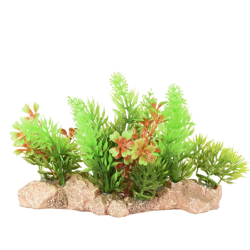 Flamingo Aquarium Umbra Plant